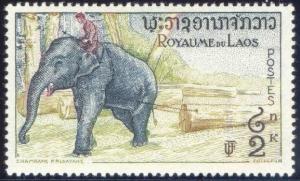 Colnect-241-391-Asian-Elephant-Elephas-maximus.jpg