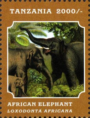 Colnect-2427-319-African-Elephant-Loxodonta-africana.jpg