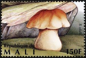 Colnect-2606-997-Cep-Boletus-edulis.jpg