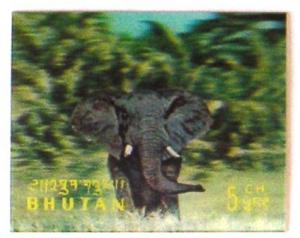 Colnect-526-954-African-Elephant-Loxodonta-africana.jpg