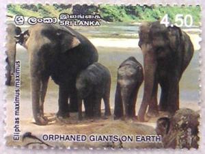 Colnect-528-290-Asian-Elephant-Elephas-maximus.jpg