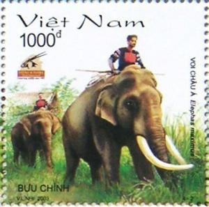 Colnect-535-897-Asian-Elephant-Elephas-maximus.jpg