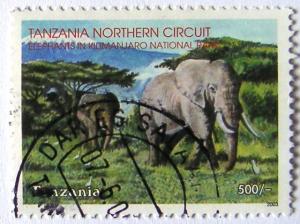 Colnect-540-093-African-Elephant-Loxodonta-africana.jpg