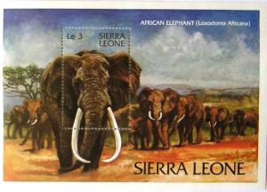 Colnect-542-710-African-Elephant-Loxodonta-africana.jpg
