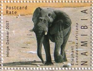 Colnect-543-146-African-Elephant-Loxodonta-africana.jpg