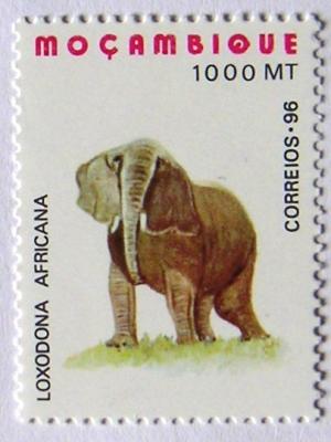 Colnect-546-771-African-Elephant-Loxodonta-africana.jpg