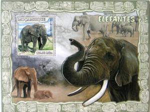Colnect-546-781-African-Elephant-Loxodonta-africana.jpg