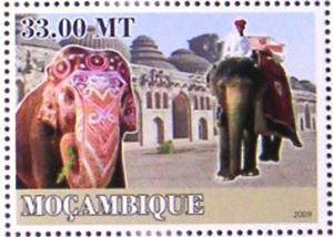 Colnect-546-782-Asian-Elephant-Elephas-maximus.jpg