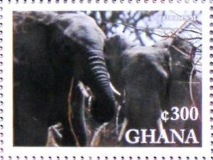 Colnect-550-383-African-Elephant-Loxodonta-africana.jpg
