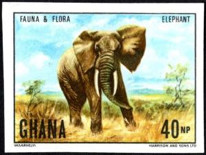 Colnect-5993-800-African-Elephant-Loxodonta-africana.jpg