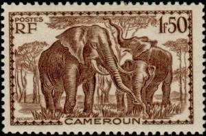 Colnect-787-784-African-Elephant-Loxodonta-africana.jpg