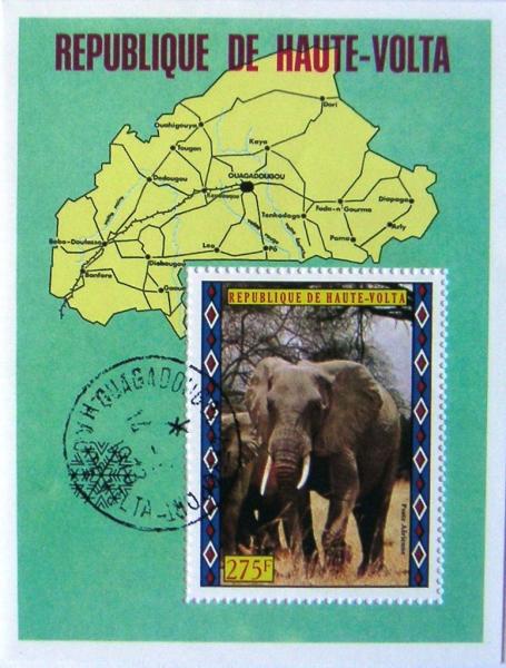 Colnect-548-441-African-Elephant-Loxodonta-africana.jpg