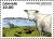 Colnect-2721-515-Texel-Sheep-Ovis-orientalis-aries.jpg