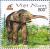 Colnect-535-896-Asian-Elephant-Elephas-maximus.jpg