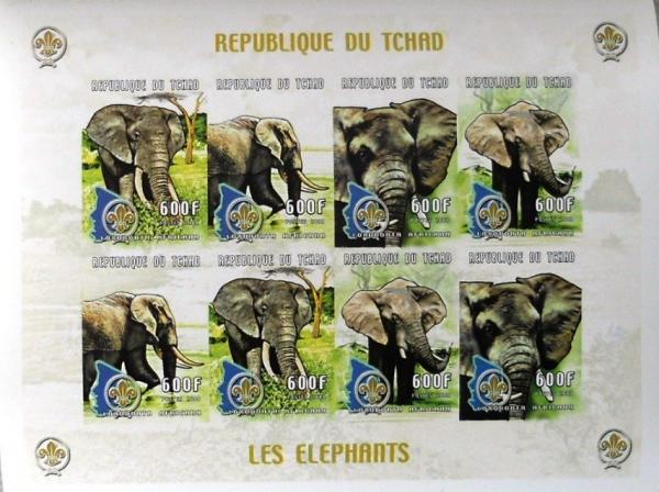 Colnect-1305-840-African-Elephant-Loxodonta-africana.jpg