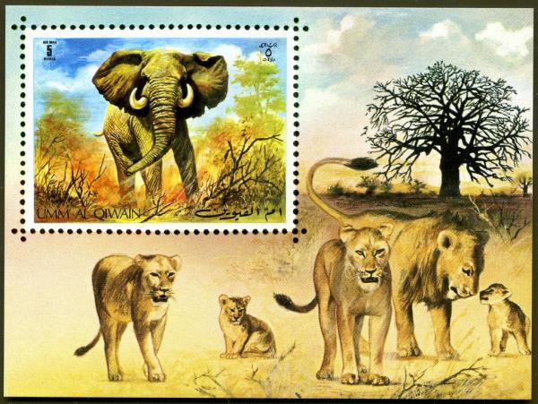 Colnect-2233-445-African-Elephant-Loxodonta-africana.jpg
