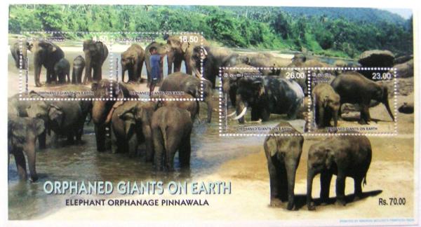 Colnect-528-306-Asian-Elephant-Elephas-maximus.jpg