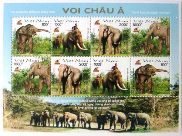 Colnect-535-900-Asian-Elephant-Elephas-maximus.jpg