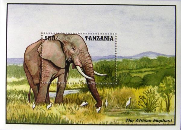 Colnect-540-066-African-Elephant-Loxodonta-africana.jpg