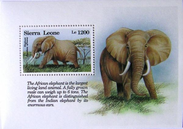 Colnect-542-720-African-Elephant-Loxodonta-africana.jpg