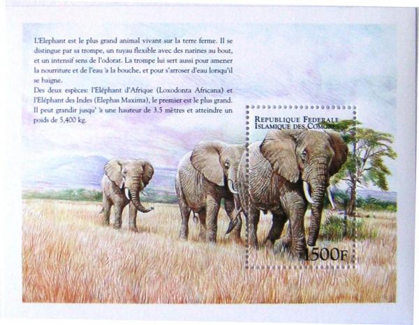 Colnect-553-616-African-Elephant-Loxodonta-africana.jpg