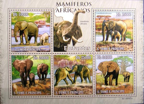 Colnect-578-902-African-Elephant-Loxodonta-africana.jpg
