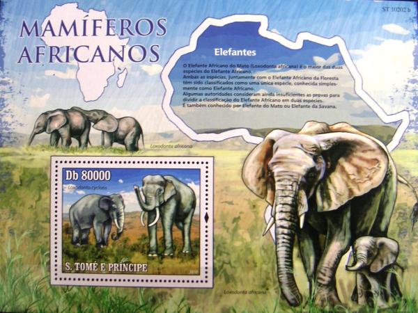 Colnect-578-903-African-Elephant-Loxodonta-africana.jpg