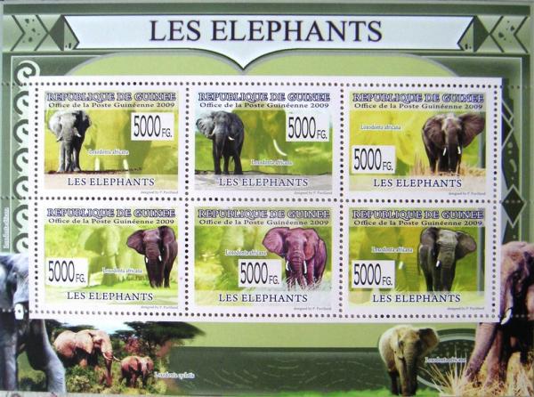 Colnect-831-869-African-Elephant-Loxodonta-africana.jpg