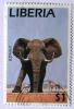 Colnect-547-668-African-Elephant-Loxodonta-africana.jpg