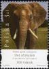 Colnect-3065-306-African-Elephant-Loxodonta-africana.jpg