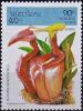Colnect-4032-089-Nepenthes-villosa.jpg