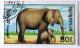 Colnect-530-920-African-Elephant-Loxodonta-africana.jpg