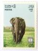 Colnect-532-923-Asian-Elephant-Elephas-maximus.jpg