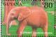 Colnect-558-428-African-Elephant-Loxodonta-africana.jpg