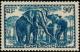 Colnect-787-769-African-Elephant-Loxodonta-africana.jpg