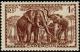 Colnect-787-774-African-Elephant-Loxodonta-africana.jpg