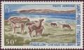 Colnect-879-392-Grazing-Horses-Equus-ferus-caballus-Miquelon.jpg