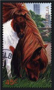 Colnect-3534-461-Pony-Equus-ferus-caballus.jpg