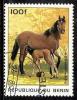 Colnect-995-278-Horse-Equus-ferus-caballus.jpg