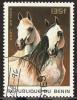 Colnect-995-279-Horse-Equus-ferus-caballus.jpg