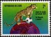 Colnect-1105-783-Leopard-Panthera-pardus-with-Ball-on-Globe.jpg