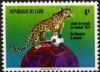 Colnect-1105-785-Leopard-Panthera-pardus-with-Ball-on-Globe.jpg