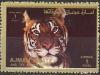 Colnect-1115-147-Tiger-Panthera-tigris.jpg
