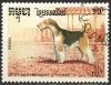 Colnect-1189-785-Fox-Terrier-Canis-lupus-familiaris.jpg