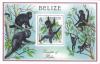 Colnect-1366-772-Black-Spider-Monkey-Ateles-paniscus.jpg
