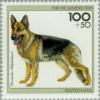 Colnect-154-081-German-Shepherd-Canis-lupus-familiaris.jpg