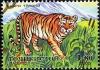 Colnect-1739-193-Tiger-Panthera-tigris.jpg