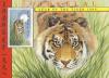 Colnect-1743-020-Tiger-Panthera-tigris.jpg