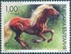 Colnect-1854-276-Haflinger-Equus-ferus-caballus.jpg