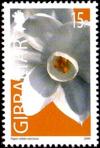 Colnect-1973-764-Paper-white-Narcissus.jpg